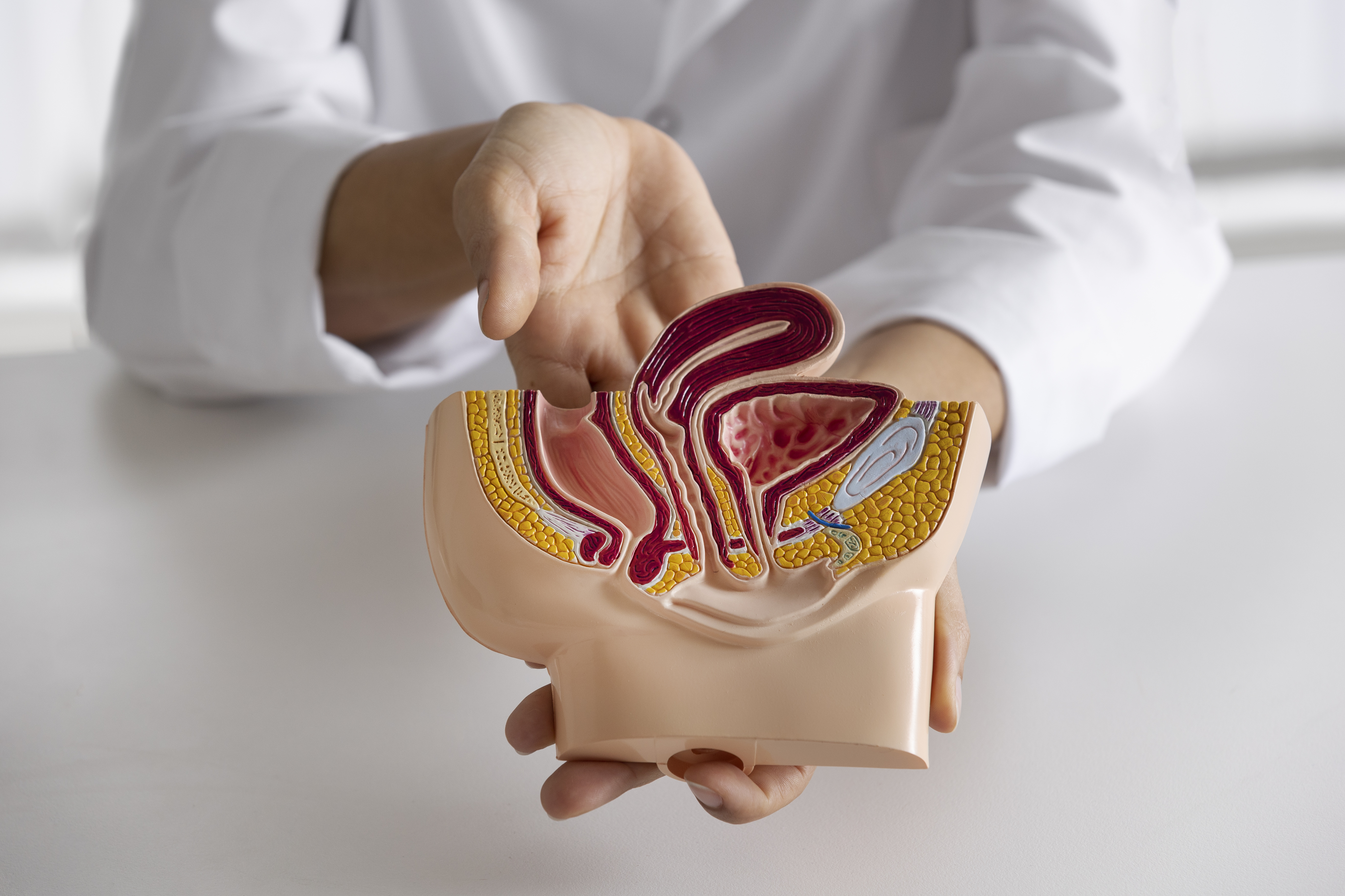 Proctological Surgery